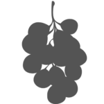 life with Christ icon