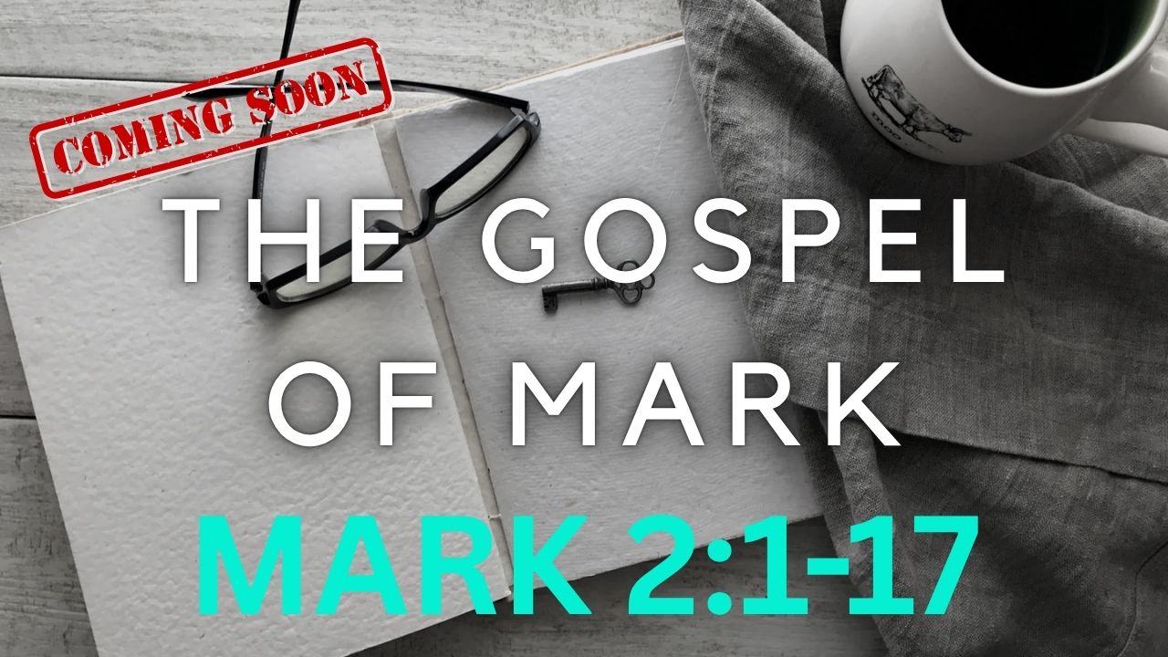 Learn the Word Mark 2 1 17
