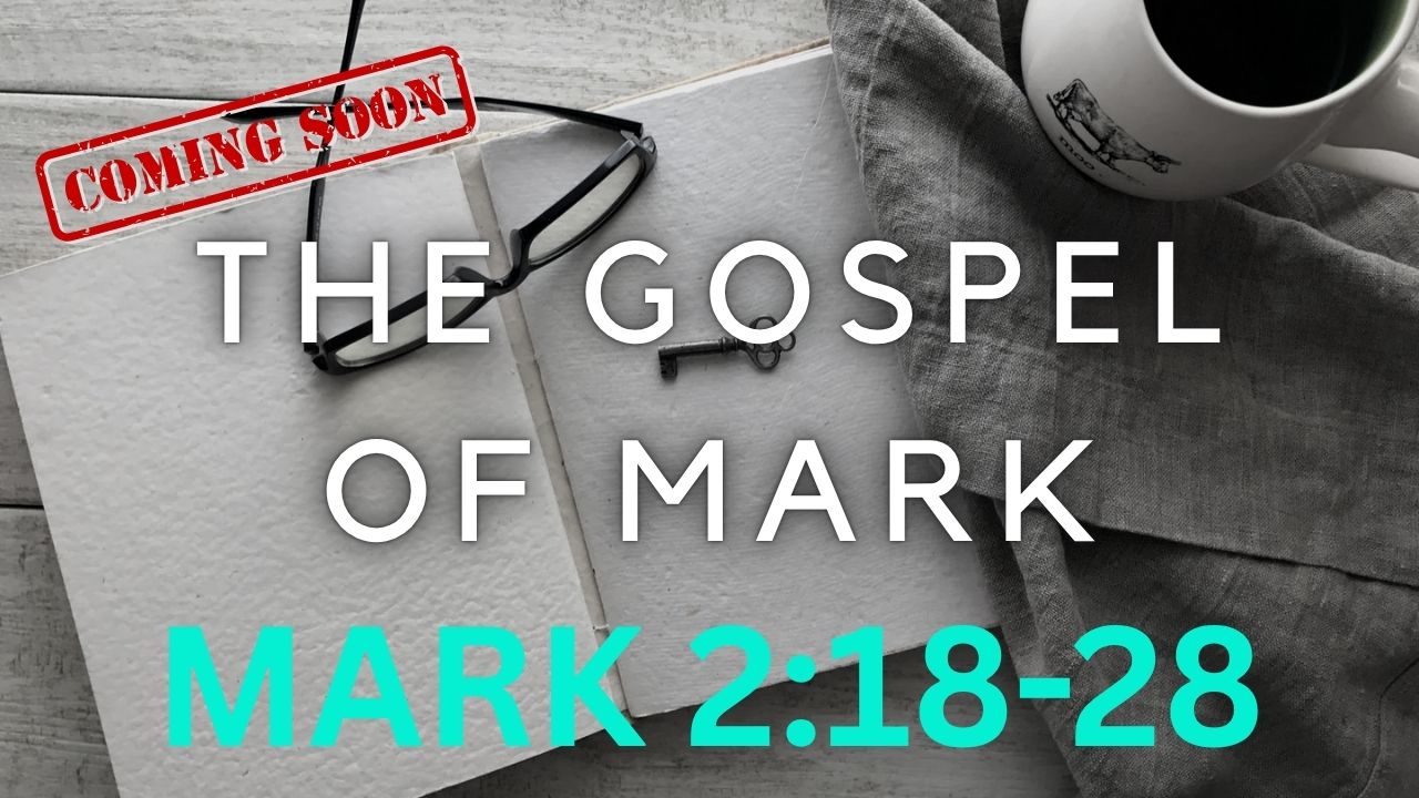 Learn the Word Mark 2 18 28